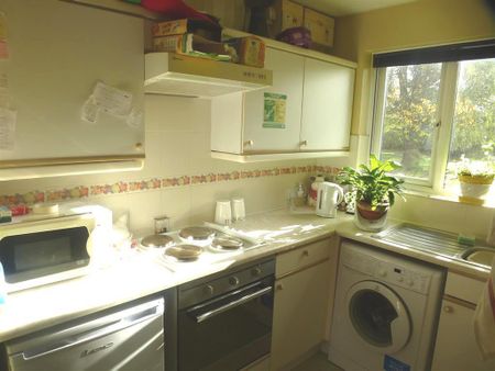 Hadley Place, Milton Keynes, Bradwell Common - Photo 5