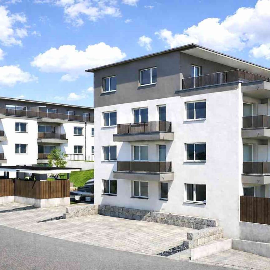 3.5 Zimmer, 85 m² - Photo 2