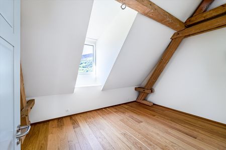 "Exklusive Wohnen - zwei Nettomietzinse + 6 Monate Einstellplatz geschenkt" - Foto 5