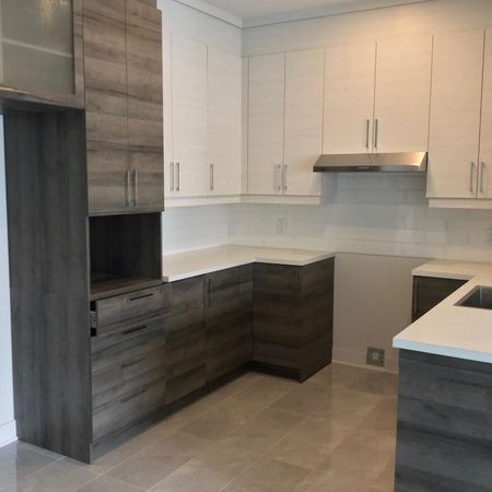 App/condo 4 1/2 Mercier Hochelaga Maisonneuve (Tétreaultville) - Photo 3