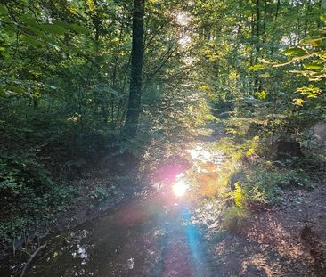 WG Zimmer in ruhiger Lage - Photo 1