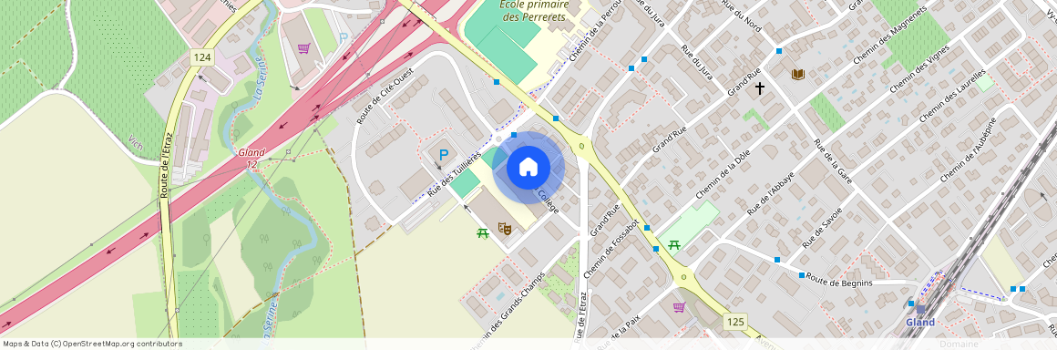Rue du Collège 4, 1196 Gland
