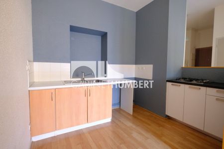 Location Appartement 2 pièces 44m² ST ETIENNE 42000 - Photo 2