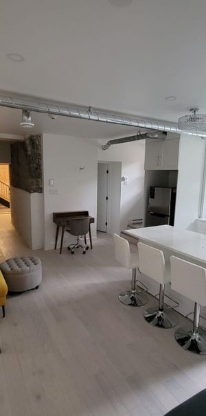 McGill Area - Superb 4 1/2 Furnished - Photo 1