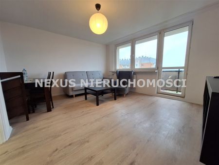 Dąbrowa Górnicza - Zdjęcie 5