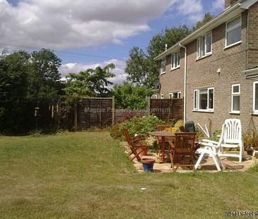 3 bedroom property to rent in Huntingdon - Photo 1