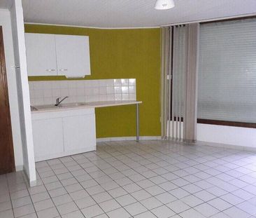 Location appartement t2 à Lavilledieu (07170) - Photo 3