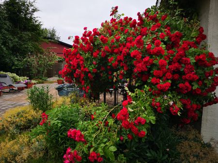 Rödakorsgatan 2B - Foto 3