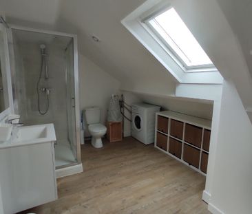 GRAND T3 MEUBLÉ DE 69 M2 - LIMOGES - Photo 6