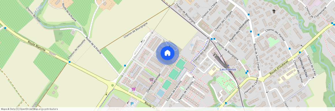 Chemin Falconnier 53 (1A.3), 1260 Nyon