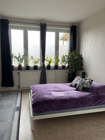 Danska Vägen 64 - Photo 5