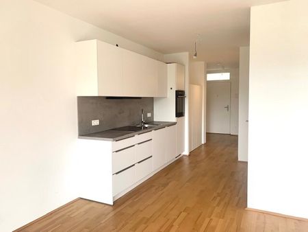 Erstklassiges Wohngefühl im Neubau – 2 Zimmer mit Balkon! - Top 44 - Foto 3