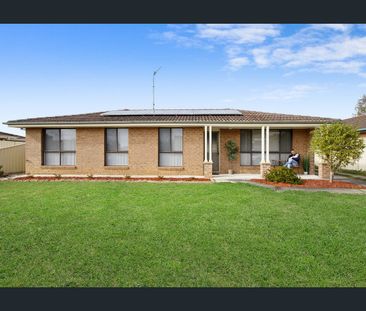 THE BEST NEST IN BLIGH PARK - Photo 6