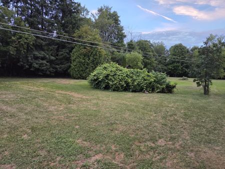 For Lease - 6042 Highway 9 Highway, Caledon, Ontario - Photo 3