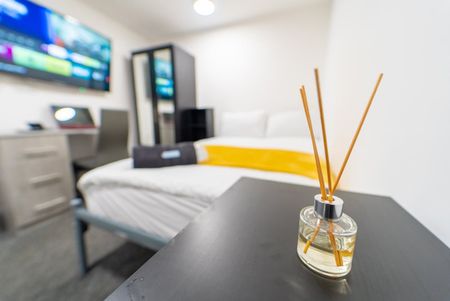 Studio Flat, Dale, B29 - Photo 3
