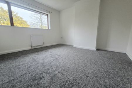 Cousin Lane - Photo 2