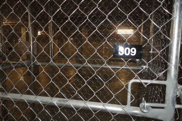 C309/6 Saunders Close Macquarie Park - Photo 1