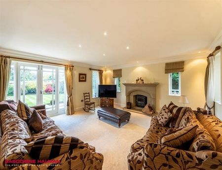4 Bedroom Detached To Let - Photo 4
