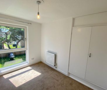 Whitewood Walk - Photo 3