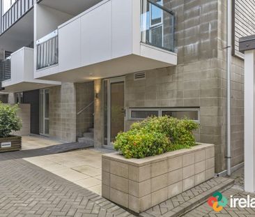 Stylish two-bedroom apartment puts you in the heart of the city. - Photo 1