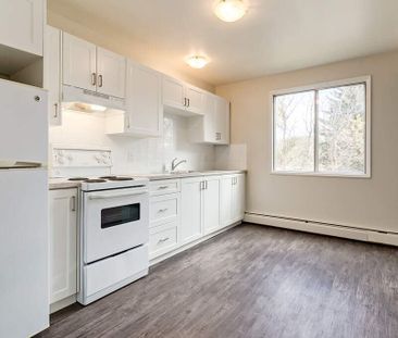 2 Bedroom - Photo 6