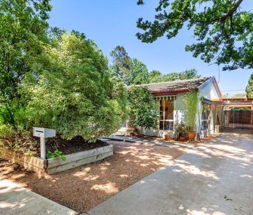 49 Lewin Street, Lyneham ACT 2602 - House For Rent | Domain - Photo 2