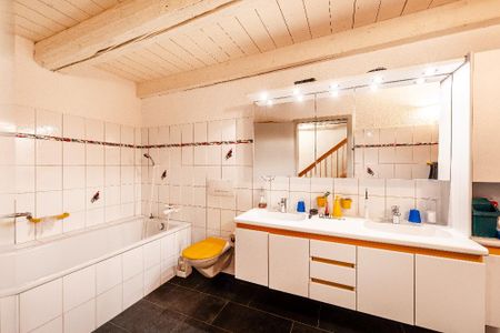 Grosszügige 6-Zimmerwohnung in der Altstadt Schaffhausen, 217m2 - Foto 4