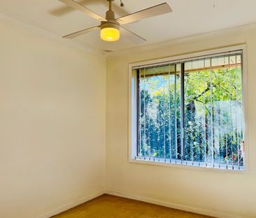 SUNFILLED FAMILY HOME WITHIN MATTHEW PEARCE CATCHMENT - Photo 3