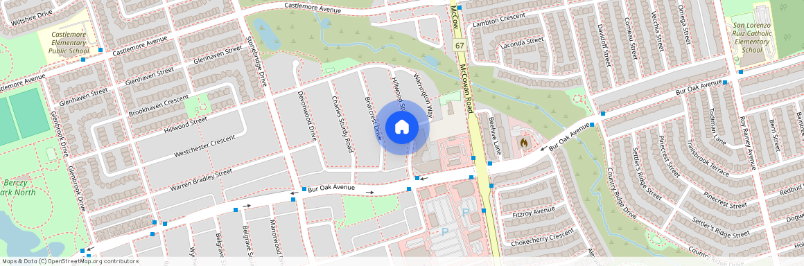 139 Hillwood Street Unit# Basement, Markham