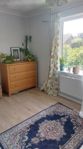 2 Bedroom Renovated Semi Detached Bunglaow - Photo 2