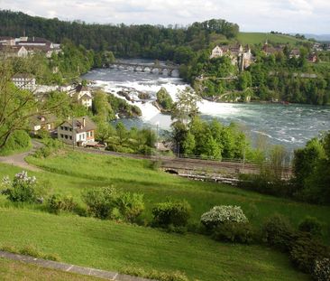 UNIKAT! MIT SPEKTAKULÄRER RHEINFALL-SICHT! - Photo 5