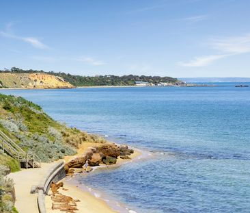 3/16 Collingwood Street, Sandringham VIC 3191 - Apartment For Rent ... - Photo 4