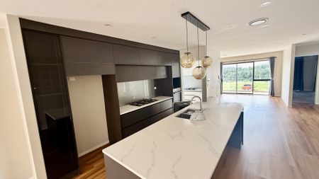 Large and luxurious in Flat bush - Photo 4