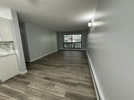 RENOVATED 1-Bedroom Apartment - SMALL PET FRIENDLY! - Photo 3