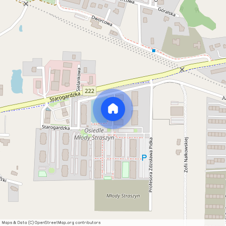 ul. prof. Zdzisława Pidka, Straszyn