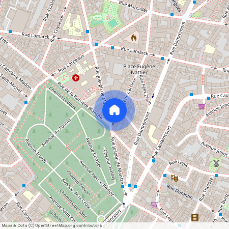 2 bis rue Eugene Carriere, 75018 Paris 18