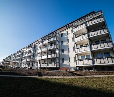 Ein Bonus für Junggebliebene! - Photo 1