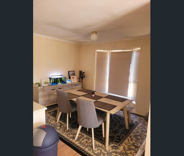 Neat and Tidy 3 Bedroom, 1 Bathroom - Photo 3