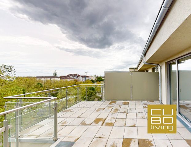 Ihre neue Wohlfühloase - 2-Zimmer-Wohnung mit EBK und Dachterrasse - Foto 1