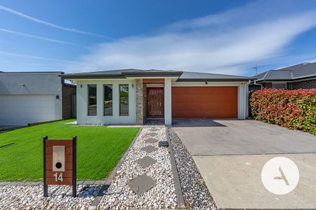 14 Feilman St, Taylor ACT 2913 - House For Rent | Domain - Photo 3