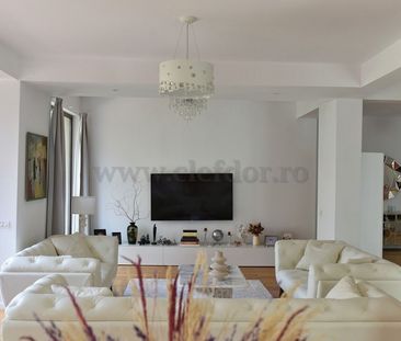 Detached Villa near Jolie Ville - Cambridge School - Fotografie 4