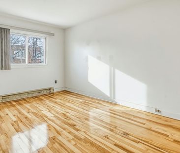 7336 8e Avenue, H2A 3C9, H2A 3C9, Montréal - Photo 5