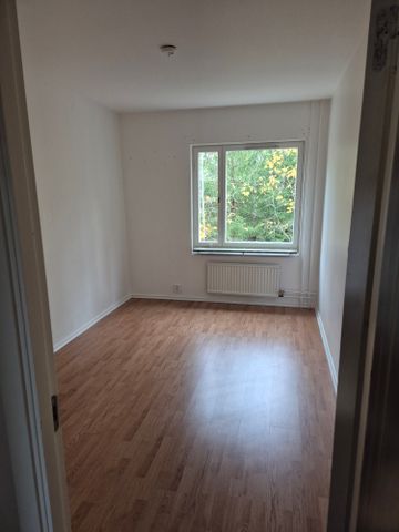 Pionvägen, Gusum - Foto 4