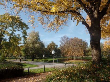 Bijlwerffstraat, Rotterdam, Nederland - Photo 2