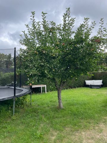 Valenciavägen, Falkenberg - Foto 2