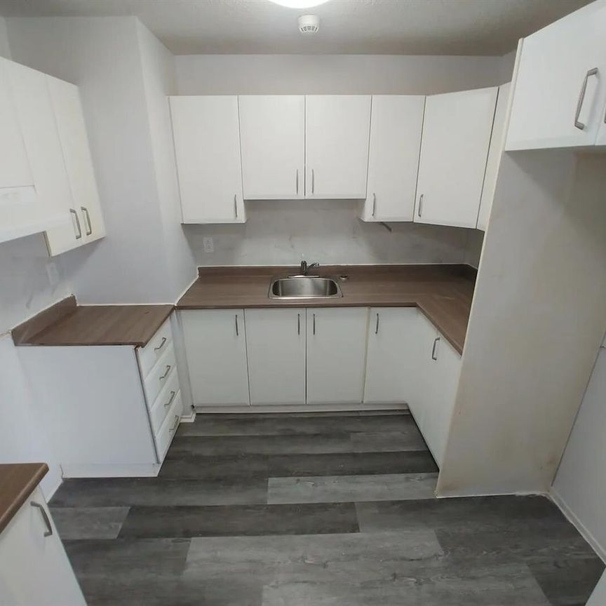 45 Rue Du Curé-André-Préseault (Hull) Très Beau Appartement à Deux Chambres - Photo 1