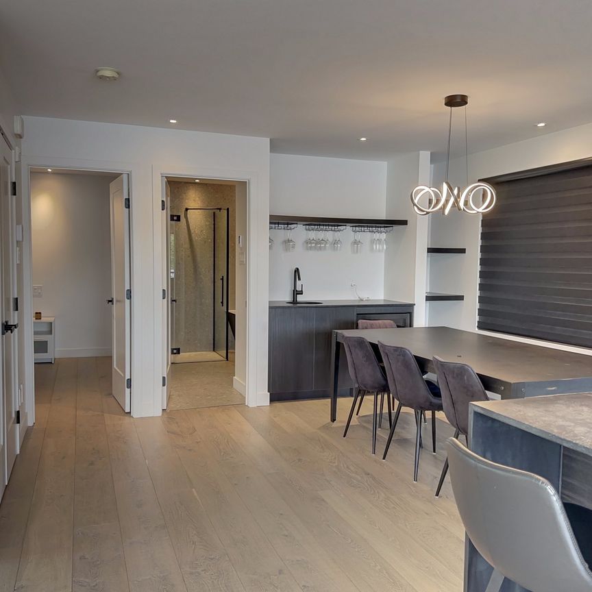 100 22e rue du Lac-des-Français - Photo 1