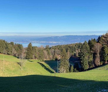 2 Zimmer, 50 m², 1. Stock - Photo 2