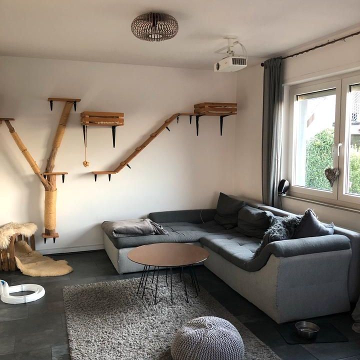 Tolle 3-Zimmer Wohnung in Neuwied/Heddesdorfer Berg zu vermieten - Photo 1