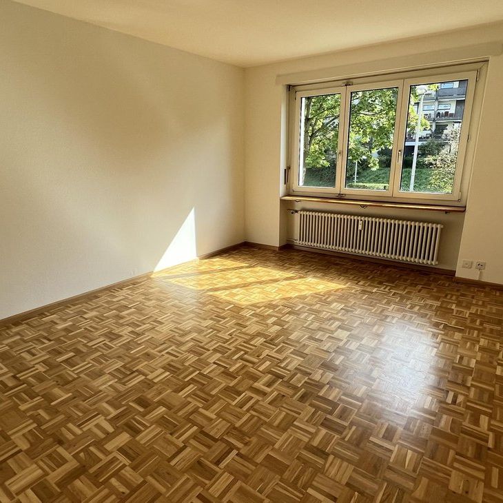 An der Stadtgrenze zu Allschwil - Photo 1